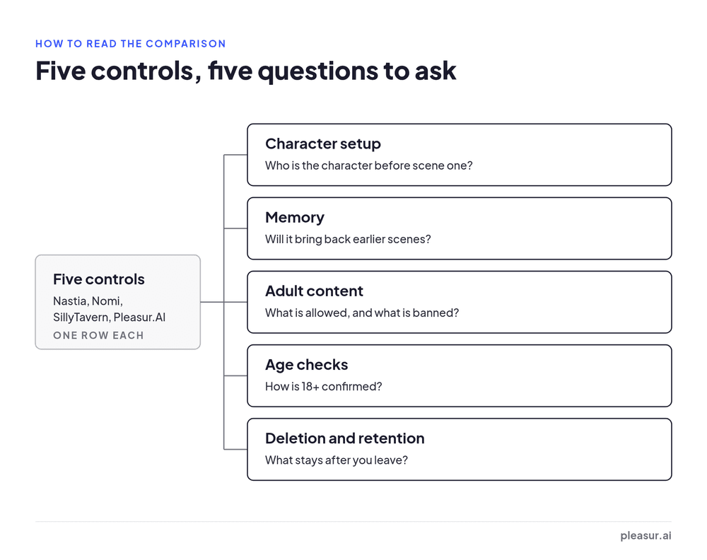 Tree of the five controls the table compares for Nastia, Nomi, SillyTavern, and Pleasur.AI, each paired with the question it answers: character setup, memory, adult content, age checks, and deletion and retention.